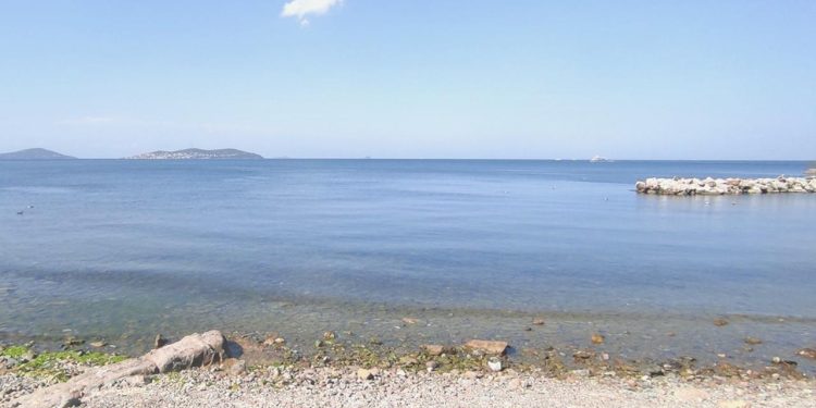 Marmara’da sıcaklık artıyor, oksijen düzeyi azalıyor