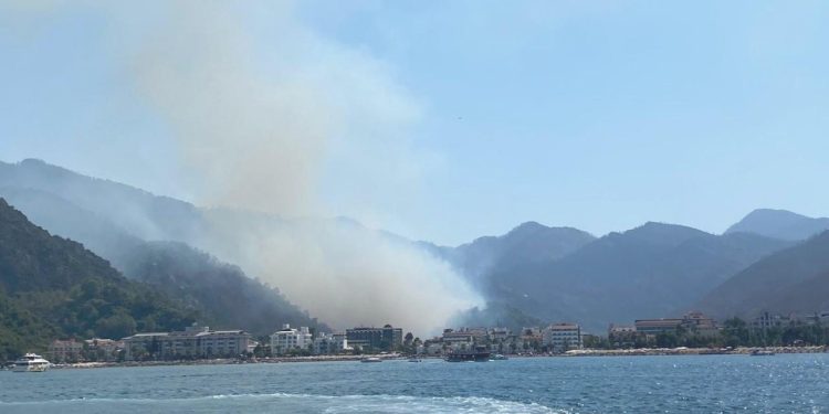 Marmaris’te ormanlık alanda yangın