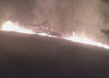 Muğla’da ormanlık alanda yangın