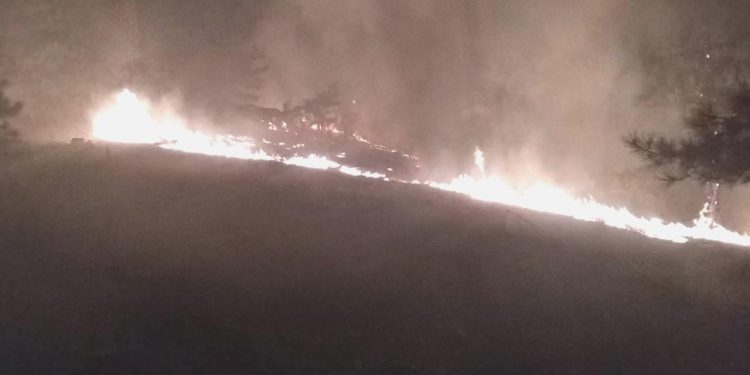 Muğla’da ormanlık alanda yangın