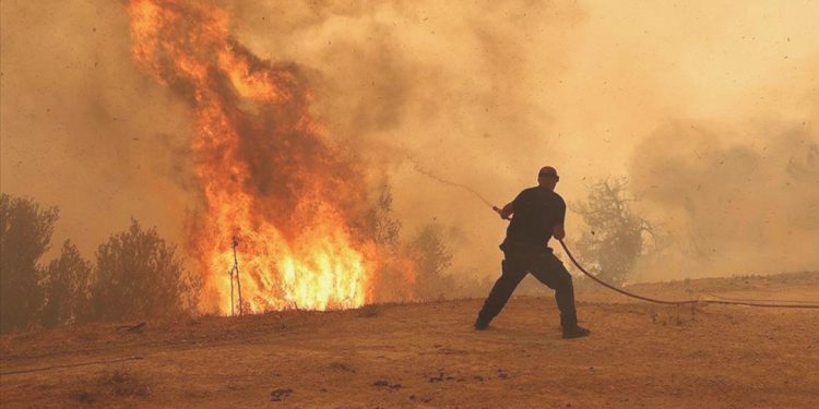 Orman yangınlarının müddeti son 35 yılda yüzde 19 arttı