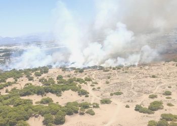 Sultanbeyli’de ormanlık alanda çıkan yangına itfaiye takımları müdahale ediyor