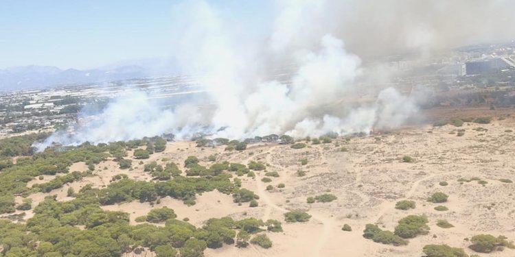 Sultanbeyli’de ormanlık alanda çıkan yangına itfaiye takımları müdahale ediyor