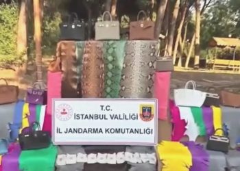 Timsah, yılan, deve kuşu: İstanbul’da çok sayıda yabani hayvan derisi bulundu