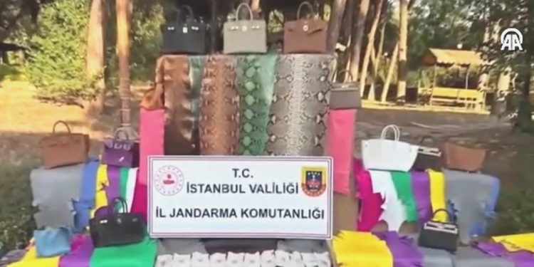 Timsah, yılan, deve kuşu: İstanbul’da çok sayıda yabani hayvan derisi bulundu