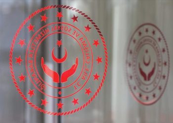 Türkiye Aile Takviye Programı ödemeleri bugün yapılacak