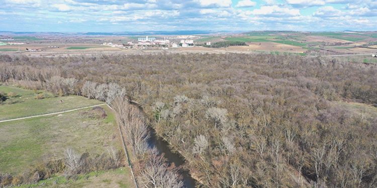 Üç kentte ‘orman sınırı’ kararı