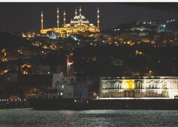 Ukrayna’dan gelen tahıl gemisi İstanbul Boğazı’ndan geçti