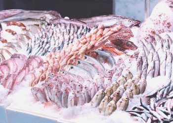 Zincir marketlerde taze balık dönemi başladı