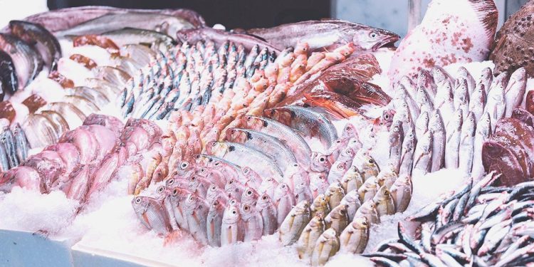 Zincir marketlerde taze balık dönemi başladı