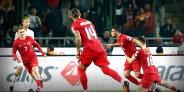 A Milli Takım EURO 2024 biletini kaptı!