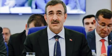 Cevdet Yılmaz’dan TL açıklaması