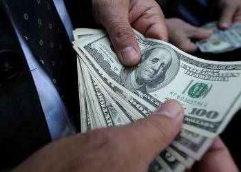 Döviz mevduatlarında yükseliş devam etti