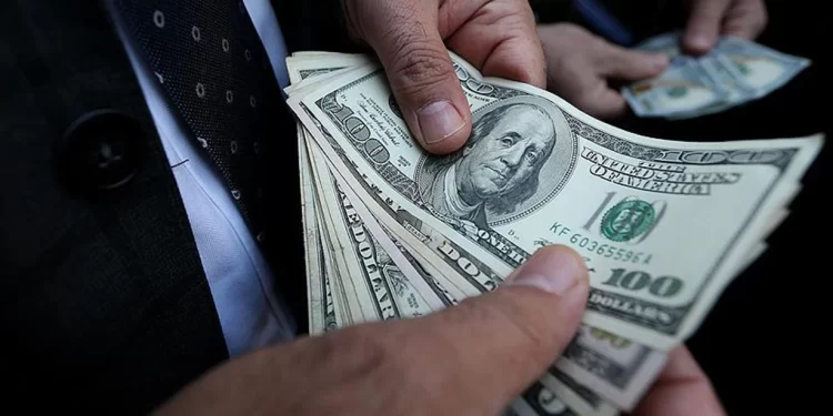 Döviz mevduatlarında yükseliş devam etti