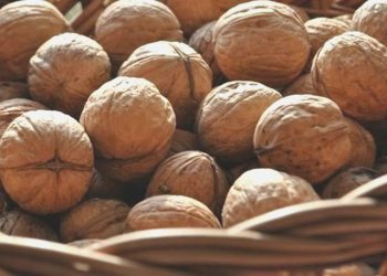 Badem ve ceviz ithalatında gümrük vergisi artırıldı