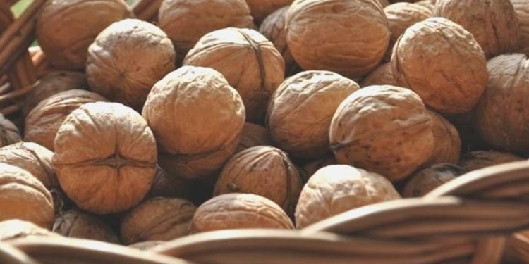 Badem ve ceviz ithalatında gümrük vergisi artırıldı