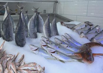 Sıcak hava balık tezgahlarını vurdu