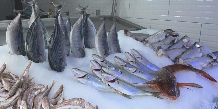 Sıcak hava balık tezgahlarını vurdu