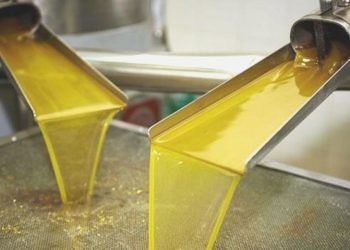 Zeytinyağında 10 bin dolarlık tarihi tepe korkusu