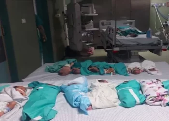 El Şifa Hastanesi’nde 7’si bebek 27 hasta, elektrik ve yakıt yokluğu yüzünden hayatını kaybetti