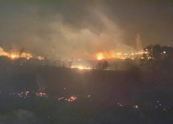 Balıkesir’de çıkan orman yangınına müdahale ediliyor