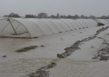 Çanakkale’deki şiddetli yağıştan 7 bin dönüm tarım toprağı ziyan gördü