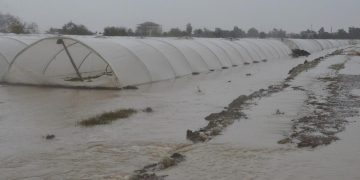 Çanakkale’deki şiddetli yağıştan 7 bin dönüm tarım toprağı ziyan gördü
