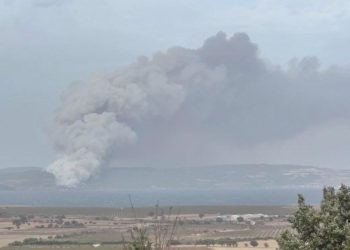 Gelibolu’da orman yangını