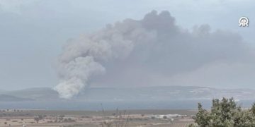 Gelibolu’da orman yangını