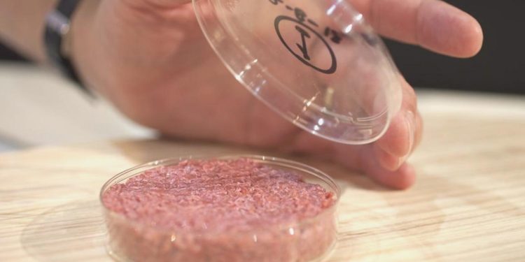 İtalya’da sentetik et üretimi ve satışına yasak