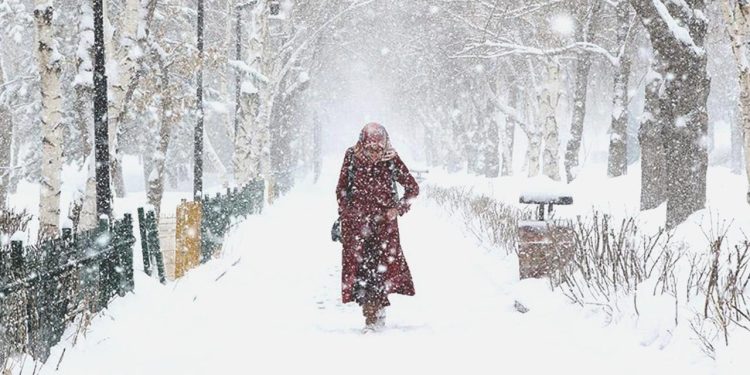 Kışın hava sıcaklığı mevsim normallerini geçecek; bol yağış olacak