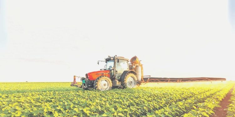 Organik tarım yapan 2 bin 500 üretici desteklenecek