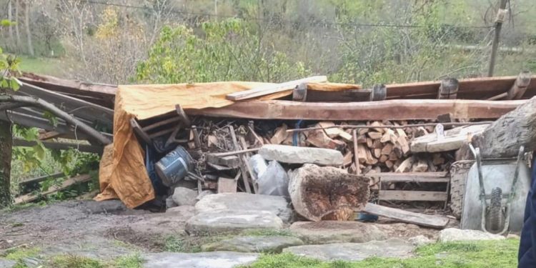 Sinop’ta şiddetli rüzgar can aldı