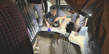 “Türkiye verisi açıklanan G-20 ve OECD ülkeleri ortasında en süratli büyüyen ekonomi”