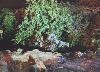 Yola çıkan köpeğe çarpan araç takla attı: Bir meyyit, iki yaralı