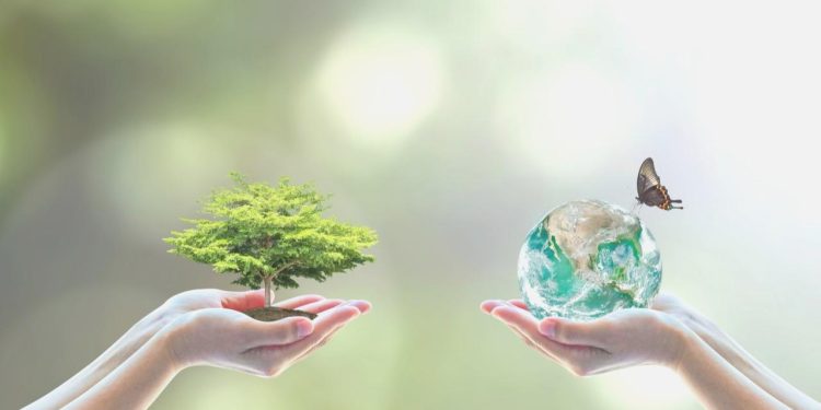 Çevreyi müdafaaya 140,3 milyar lira harcandı