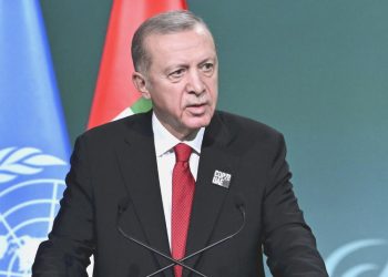Cumhurbaşkanı Erdoğan: “Gazze’de yaşananlar insanlık kabahatidir, savaş suçudur”