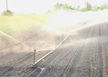 442 bin dekar alan sulamaya açılacak