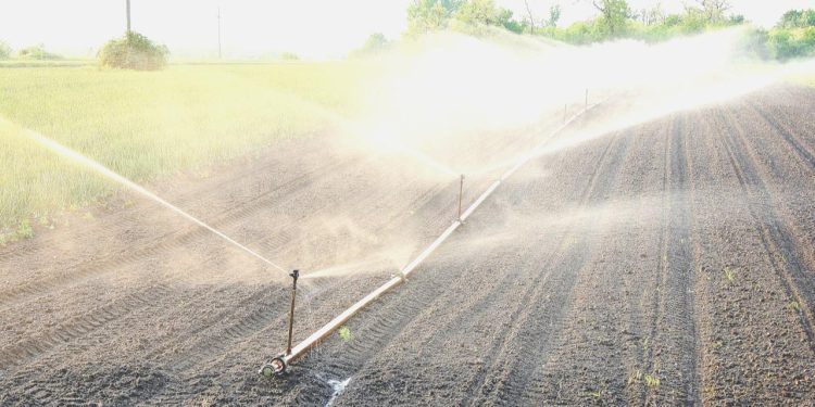 442 bin dekar alan sulamaya açılacak