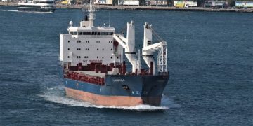 Ukrayna basını: Rusya işgal ettiği bölgelerde Ukraynalı çiftçilerin tahıllarını BAE bağlantılı bir şirketle Türkiye’ye ihraç etti