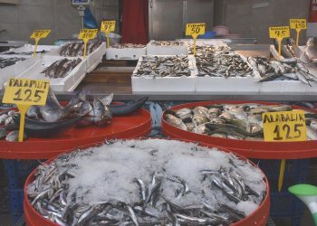 Balıkçılar Marmara’da umduğunu bulamadı