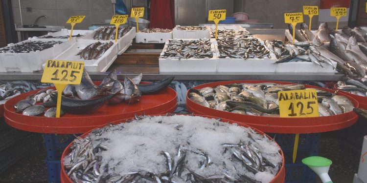 Balıkçılar Marmara’da umduğunu bulamadı