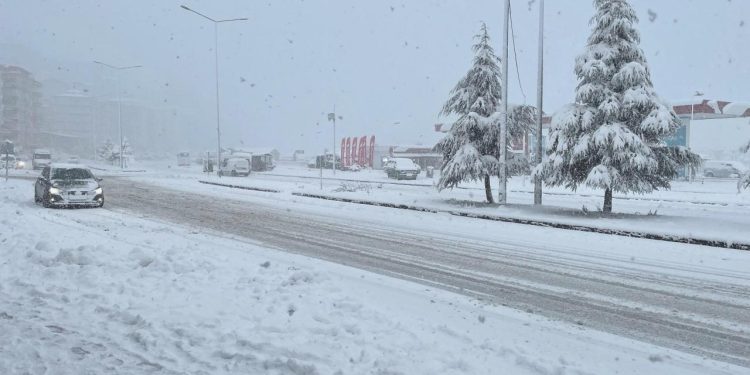 Bingöl ve Şırnak’ta kar nedeniyle 15 yerleşim yerine ulaşım sağlanamıyor