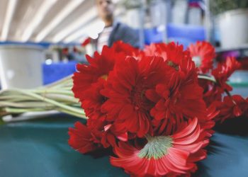 Çiçek kesiminin 2024 gayesi 180 milyon dolar ihracat