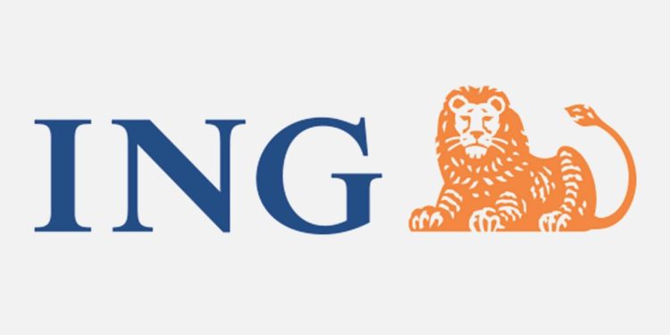 ING Türkiye, TESK işbirliğiyle esnaflara dayanak oluyor