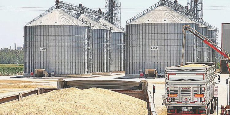 Lisanslı depolarda saklanacak eserlere dayanaklar belirlendi