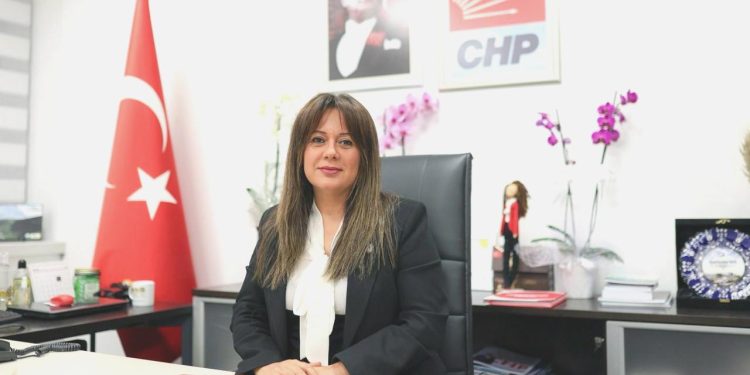 CHP Genel Lider Yardımcısı Koza Yardımcı istifa etti