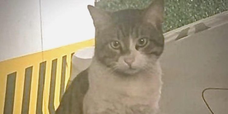 Eros’u öldüren zanlı yine yargılanacak