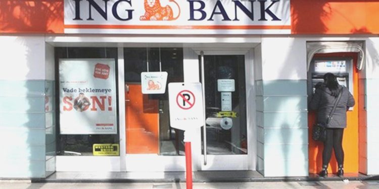 Tasarruf sahipliği oranı %23.3’e ulaştı