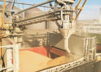 Ukrayna’dan tahıl çıkışları Tahıl Koridoru öncesine ulaştı